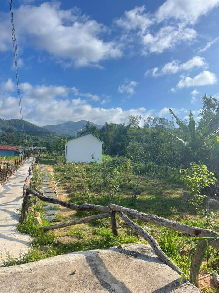 Đất vườn nghỉ dưỡng tại Cổ Trấn Dran 870m² giá 1.95 tỷ - Sẵn sàng ở ngay!