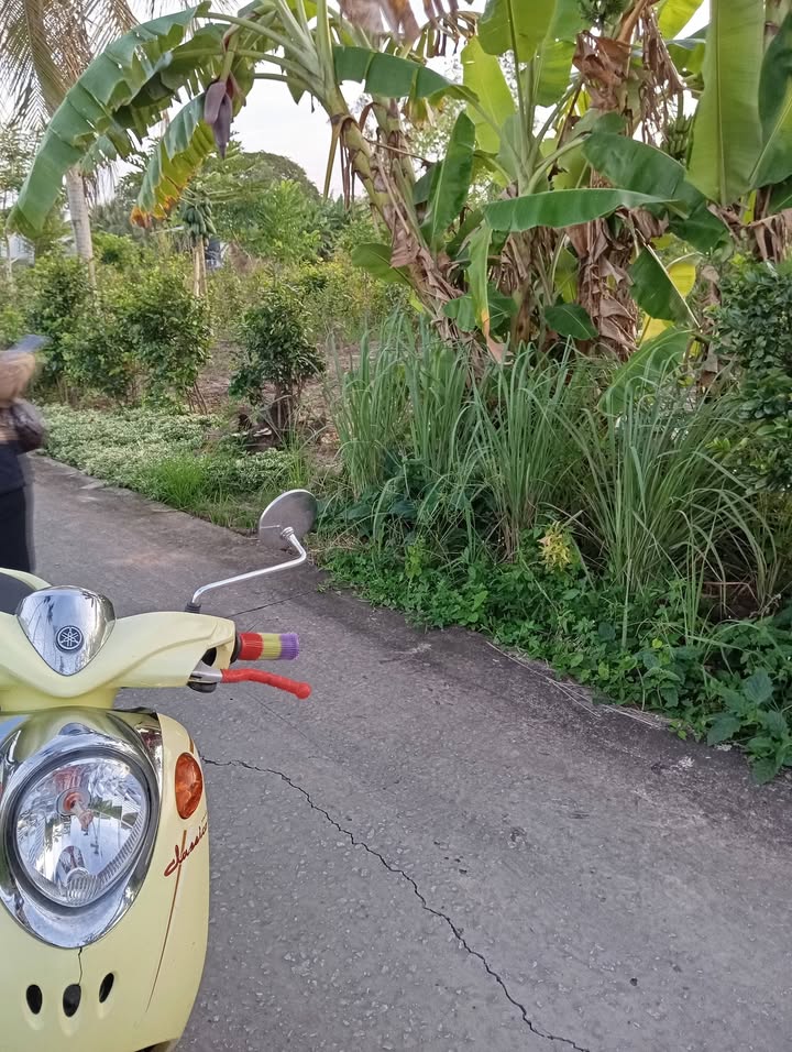 Đất nền mặt tiền ô tô 750m² tại ấp An Nghiệp, Vĩnh Mỹ giá 3.75 tỷ - Đầu tư sinh lời ngay!