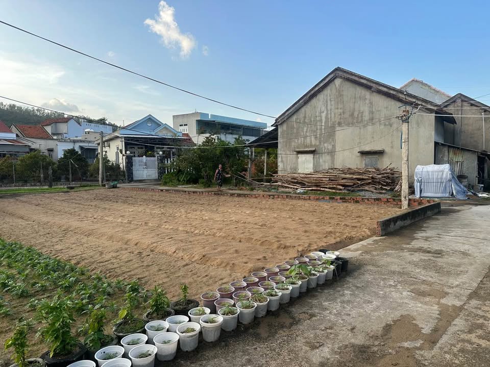 Nhà cấp 4 hẻm Mậu Thân, Bình Kiến 110m² giá 1 tỷ - Đầu tư sinh lời!