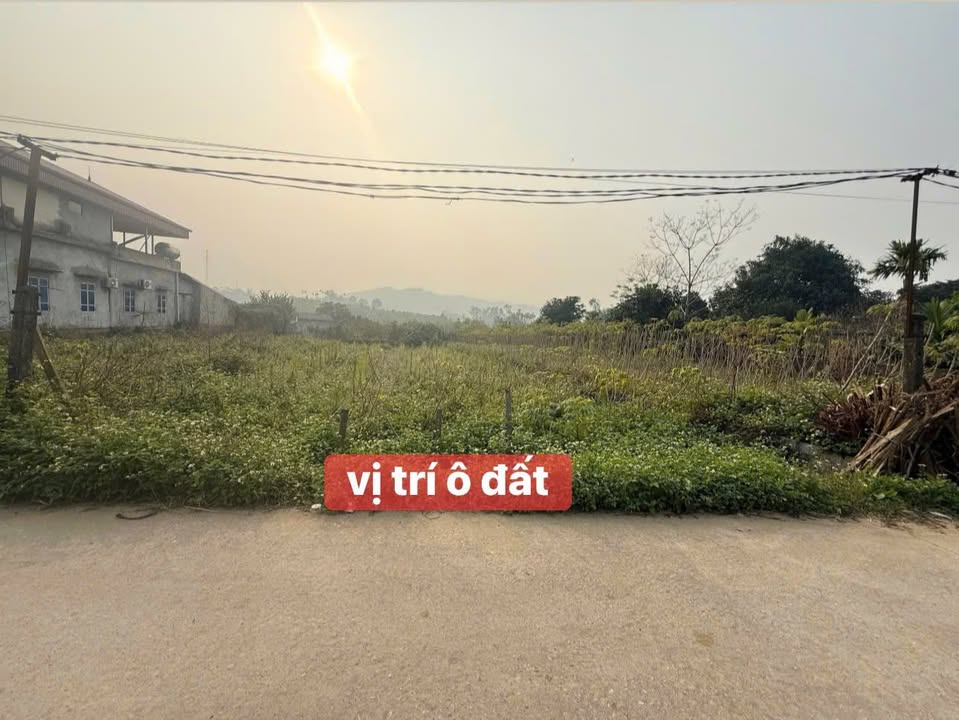 Đất nền khu 9 Tất Thắng, Thanh Sơn, Phú Thọ 345m² - Đầu tư sinh lời ngay!