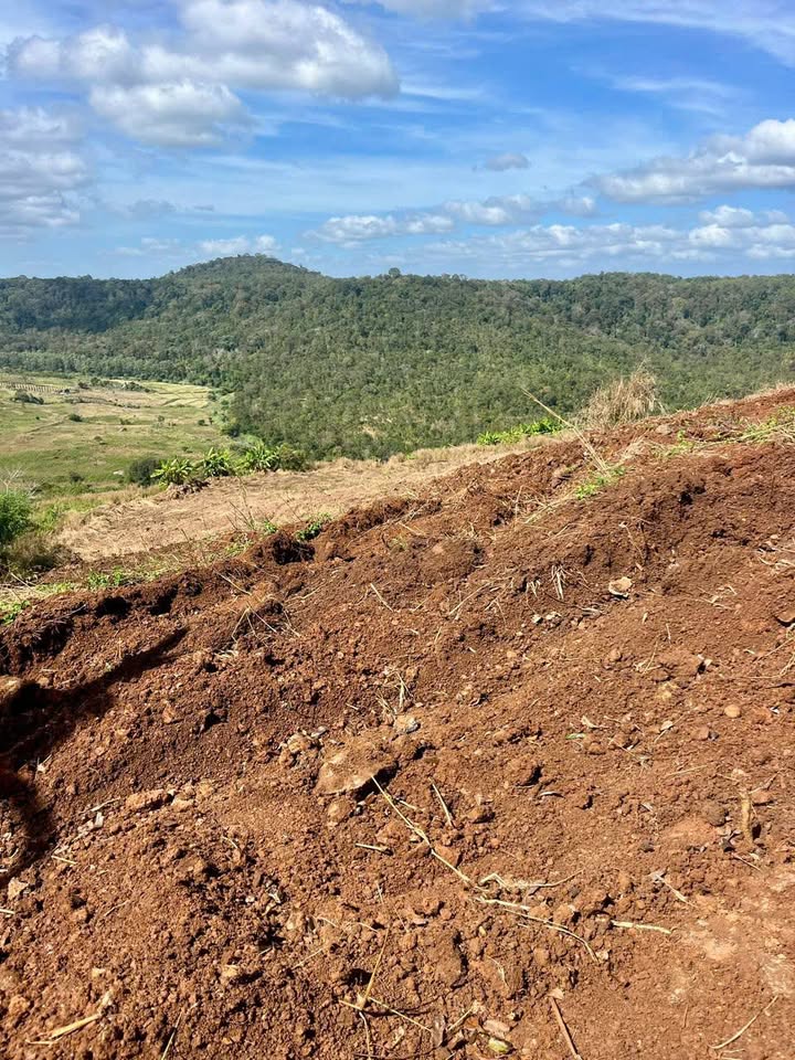 Đất dự án 1ha Đắk N'Drót giá 800 triệu - Sổ đỏ chính chủ, thương lượng tốt!