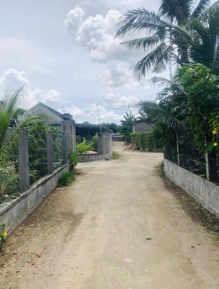 Đất nền An Đức – Cát Trinh – 100m² giá chỉ từ 200 triệu - Cơ hội đầu tư hiếm có!