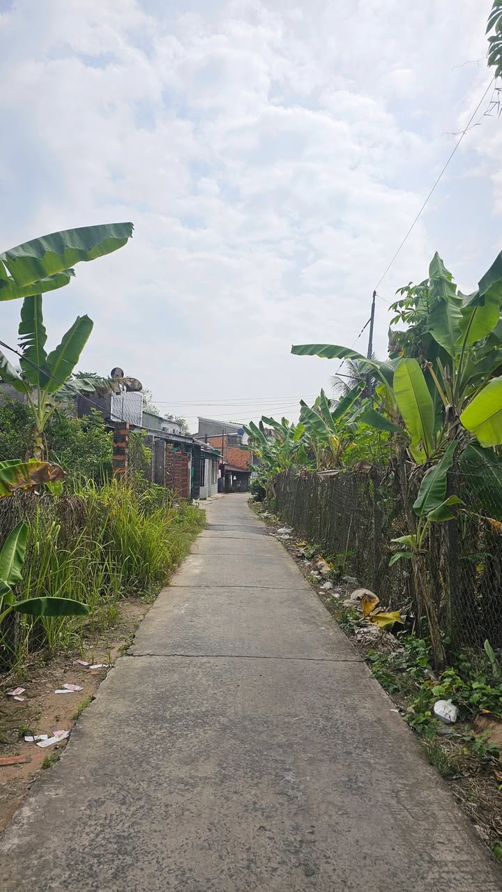 Đất nền hẻm CF Như Ý, Phường 5, Vĩnh Long 130m² - Giá cực kỳ hấp dẫn chỉ 910 triệu!