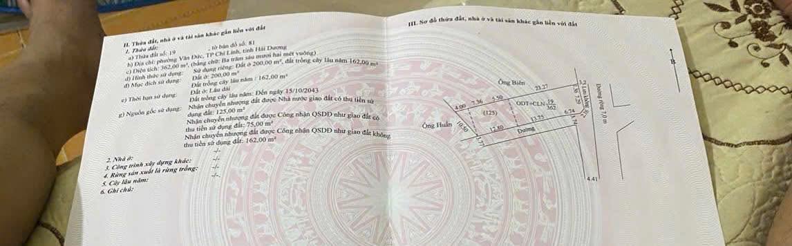 Đất nền lô góc 362m² tại Văn Đức, Chí Linh - Giá chỉ 3 tỷ!