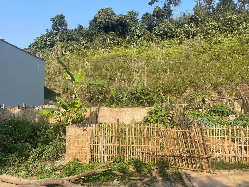 Lô đất Duyên Hải, Lào Cai 99m² giá 1.2 tỷ - Sổ đỏ chính chủ, hướng Tây Nam!