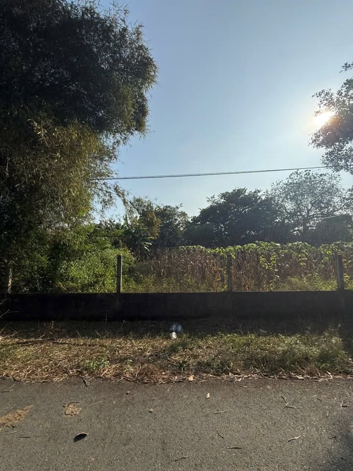 Lô đất 480m² xã Xuyên Mộc, Bà Rịa - Vũng Tàu chỉ 72 tỷ - Đầu tư sinh lời!