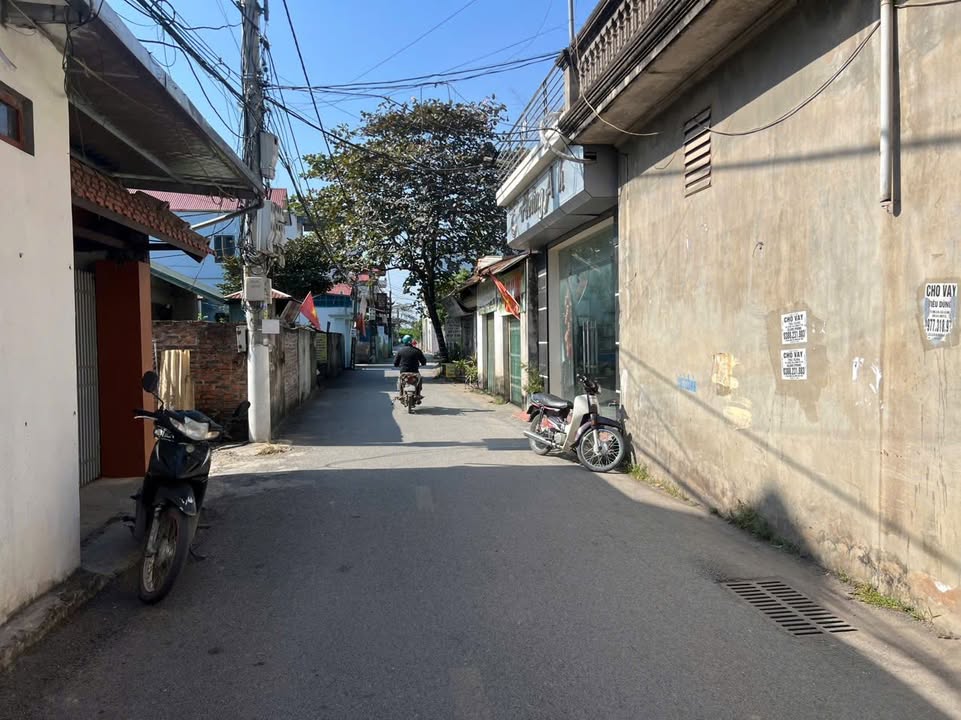 Đất nền Thôn Cát Động, Xã Thanh Oai 46.2m² giá 20 tỷ - Vị trí thuận lợi, đầy đủ tiện ích