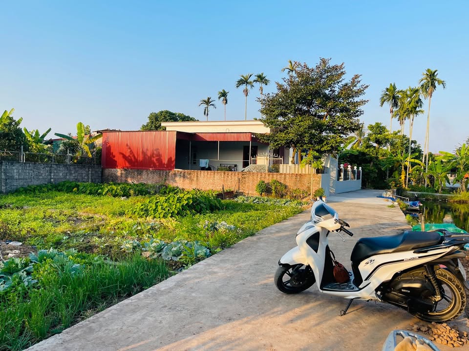 Đất nền 75m² tại Quang Hưng, An Lão chỉ 500 triệu - Cơ hội đầu tư hấp dẫn!