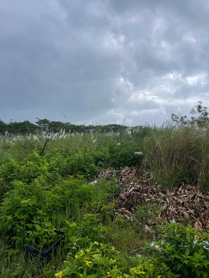 Bán đất mặt tiền Nguyễn Tất Thành Đà Nẵng 125m² giá 19 tỷ - Đầu tư sinh lời cao!