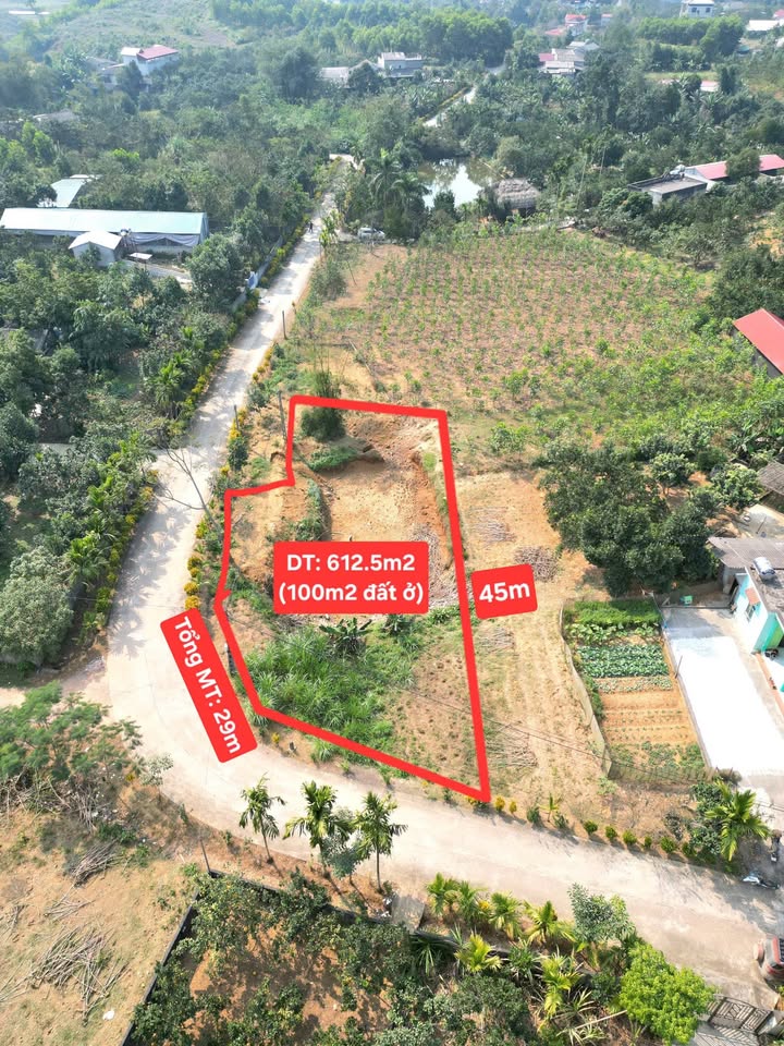 Lô đất 2 mặt tiền 29m tại Khu 3, xã Xuân Thủy, 612m² - Đầu tư sinh lời ngay!