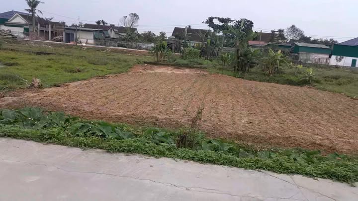 Đất thổ cư Kim Liên 300m² giá chỉ 1.9 tỷ - Đầu tư sinh lời ngay!