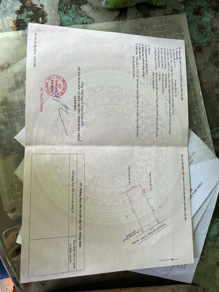 Đất thổ cư 1420m² xã Mỹ Hòa, Tháp Mười, Đồng Tháp giá 1.5 tỷ - Cơ hội đầu tư hấp dẫn!