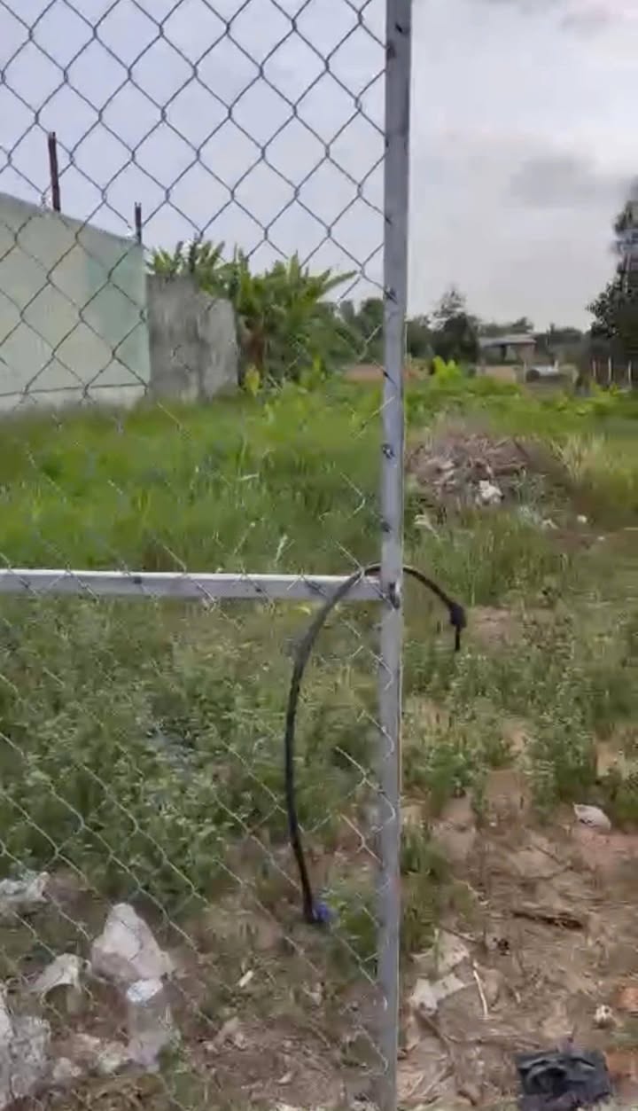 Lô đất vườn 3400m² đường Bùi Văn Sự, Bình Chánh - Đầu tư sinh lời ngay!