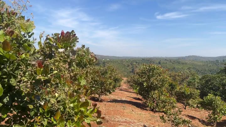 Đất nền xã Gào, Pleiku 12.000m² giá chỉ 1.45 tỷ - Cơ hội đầu tư tuyệt vời!