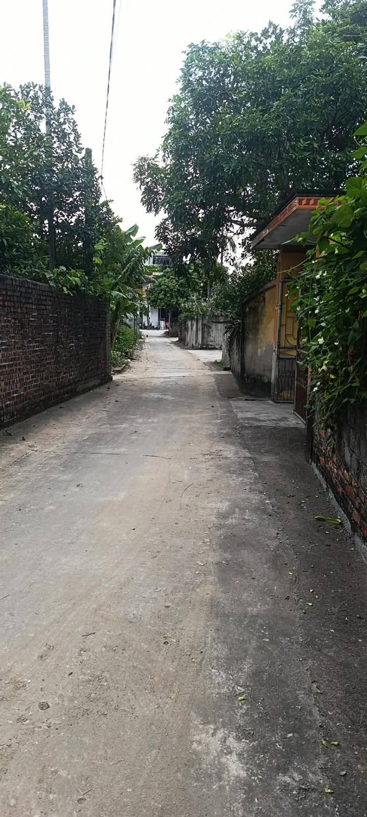 Đất nền tại xã Liên Mạc, Thanh Hà 168.7m² giá 1 tỷ - Sổ hồng chính chủ ngay!