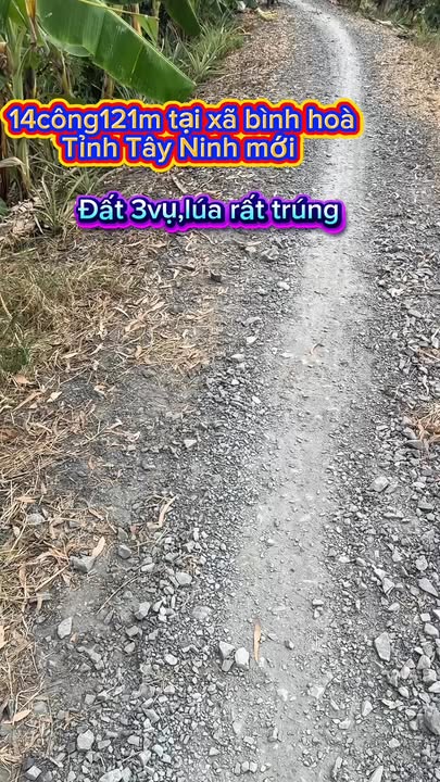 Đất nền xã Bình Hòa Đông, huyện Mộc Hóa 121m² - Cơ hội đầu tư tuyệt vời!