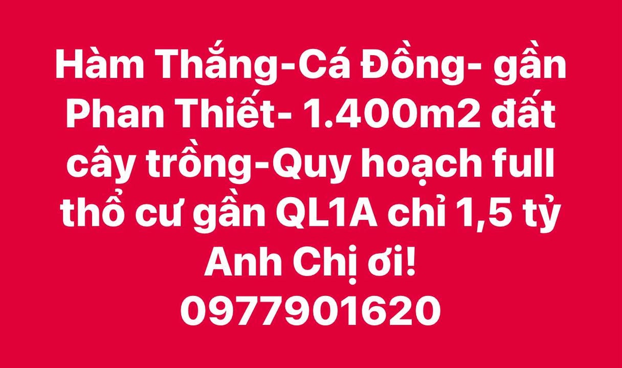 Đất thổ cư Hàm Thắng 1400m² giá 1.5 tỷ - Cơ hội đầu tư hấp dẫn!