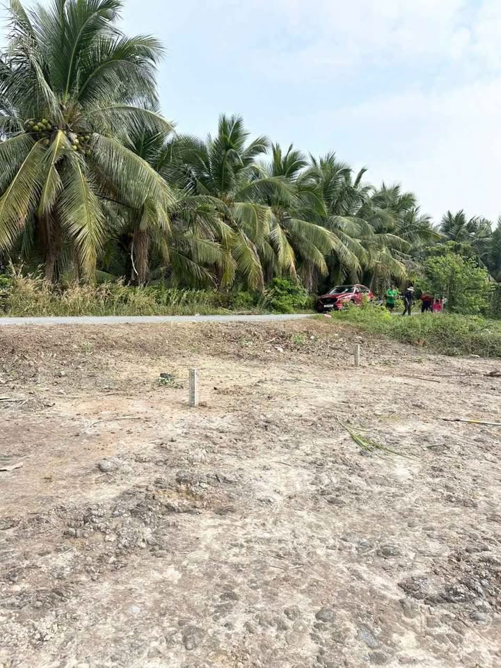 Đất nền thổ cư Phú Lộc, Tam Bình 510m² giá chỉ 325 triệu - Cơ hội đầu tư vàng!