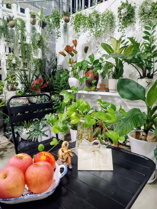 Cho thuê mặt bằng mặt tiền đường Hai Bà Trưng, Huyện Sa Thầy, 5 triệu/tháng - Địa điểm lý tưởng cho kinh doanh!