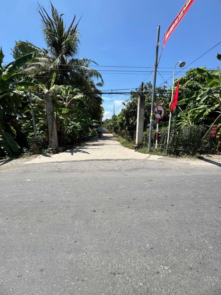 Bán 2000m² Đất Vườn Dừa Mặt Tiền Đường Nhựa - Phù Hợp Kinh Doanh Hoặc Xây Dựng