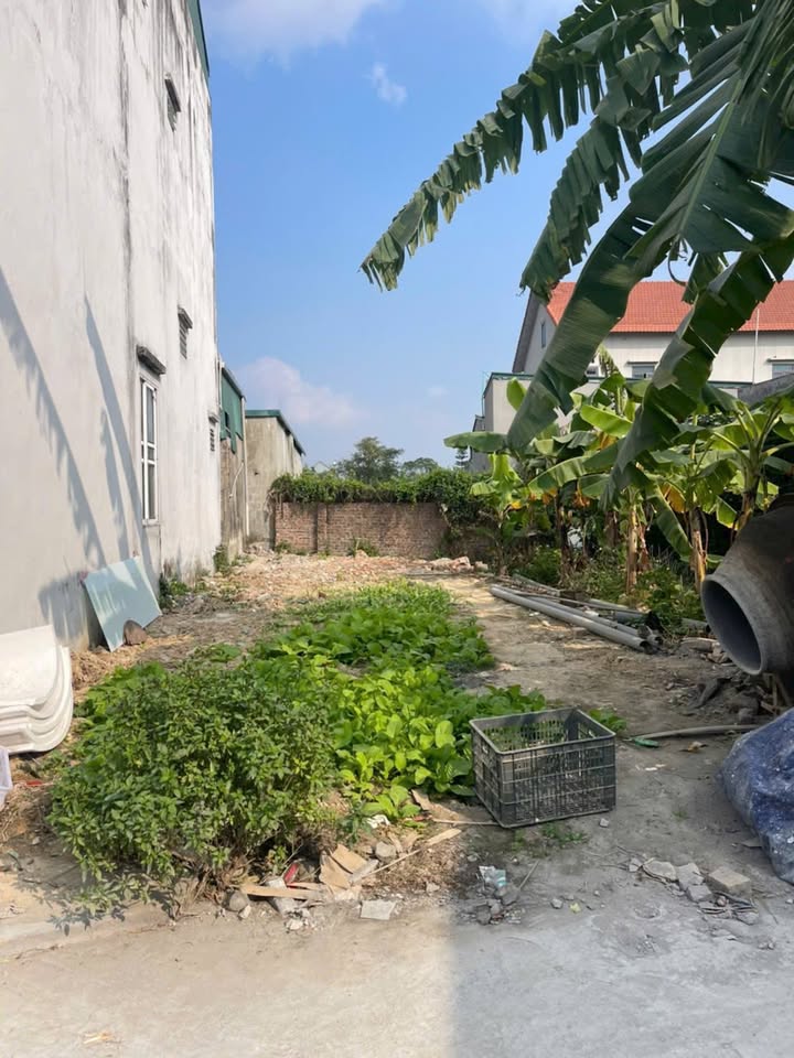 Đất nền phường Tứ Minh, TP Hải Dương 76m² giá 1.6 tỷ - Vị trí thuận lợi cho đầu tư!