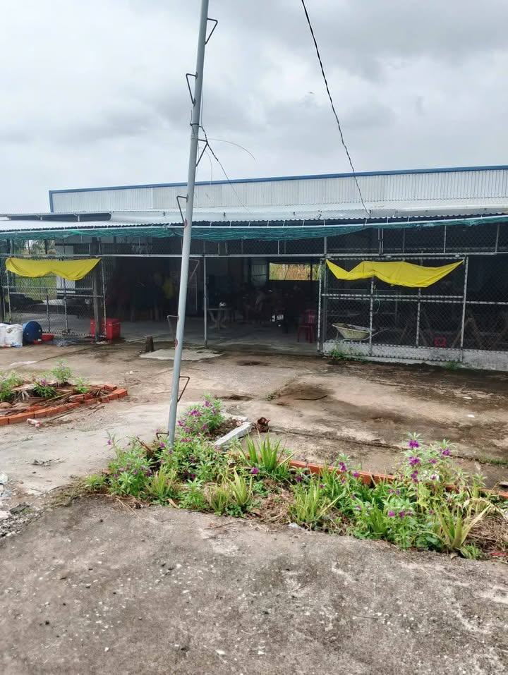 Đất nền 1000m² xã Đông Hòa, Kiên Giang giá chỉ 70 tỷ - Cơ hội đầu tư hấp dẫn!