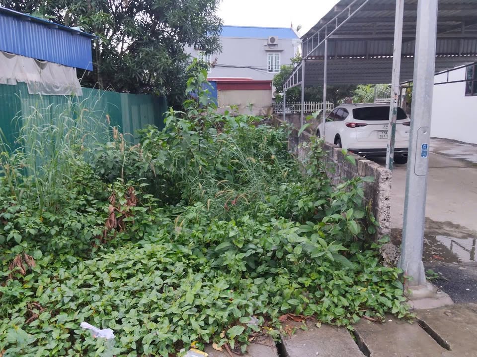 Đất nền mặt đường Bến Đò Vạn Hóa, Hải Phòng 93m² - Đầu tư sinh lời lý tưởng!