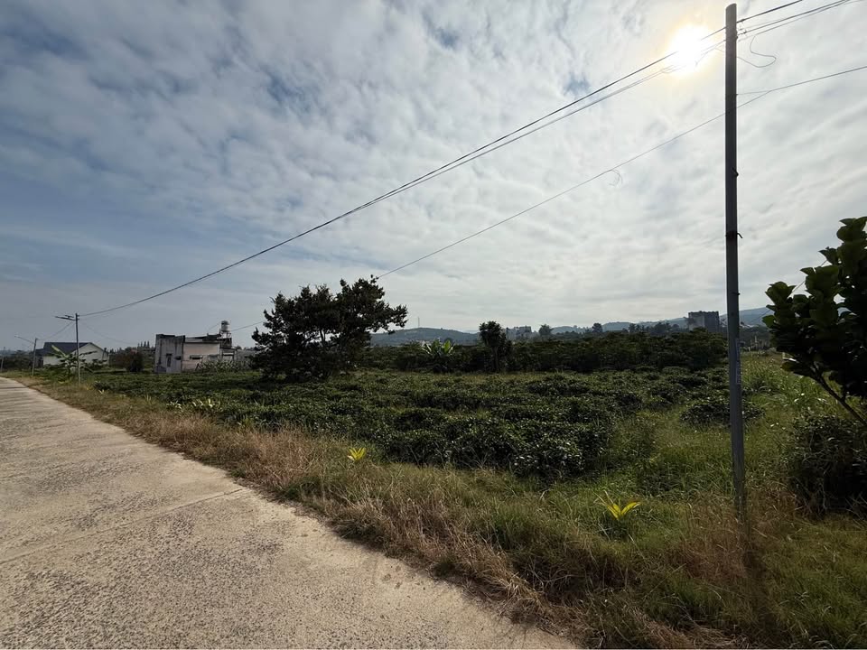 Đất nền Bảo Lộc 3111m² giá 7.5 tỷ - Đầu tư sinh lời tiềm năng!