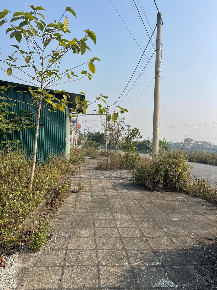 Đất nền cặp góc tại Hoàng Tây, Kim Bảng 200m² giá 6 tỷ - Cơ hội đầu tư hiếm có!