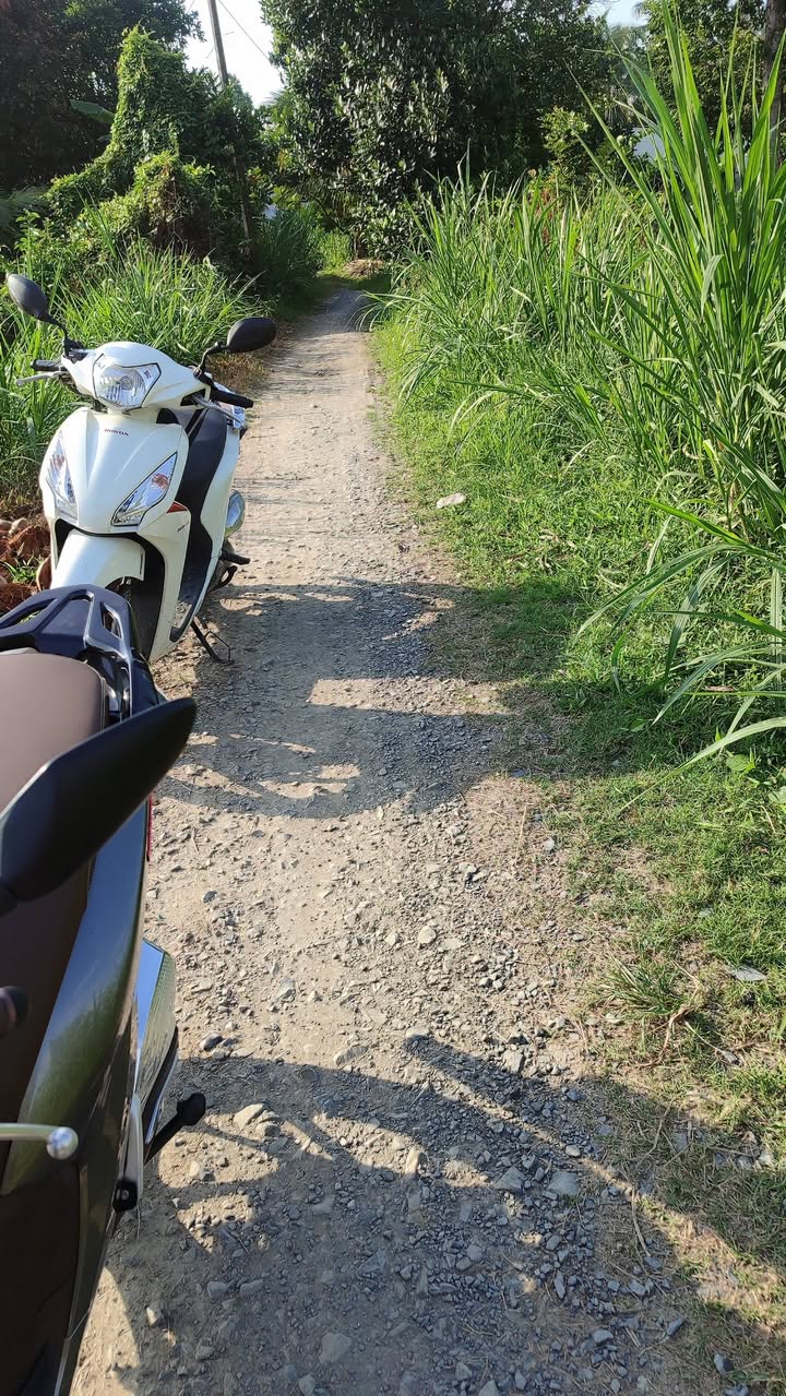 Đất nền xã Hòa Thạnh, Tam Bình 200m² giá 199 triệu - Sổ hồng sẵn, đầu tư lý tưởng!