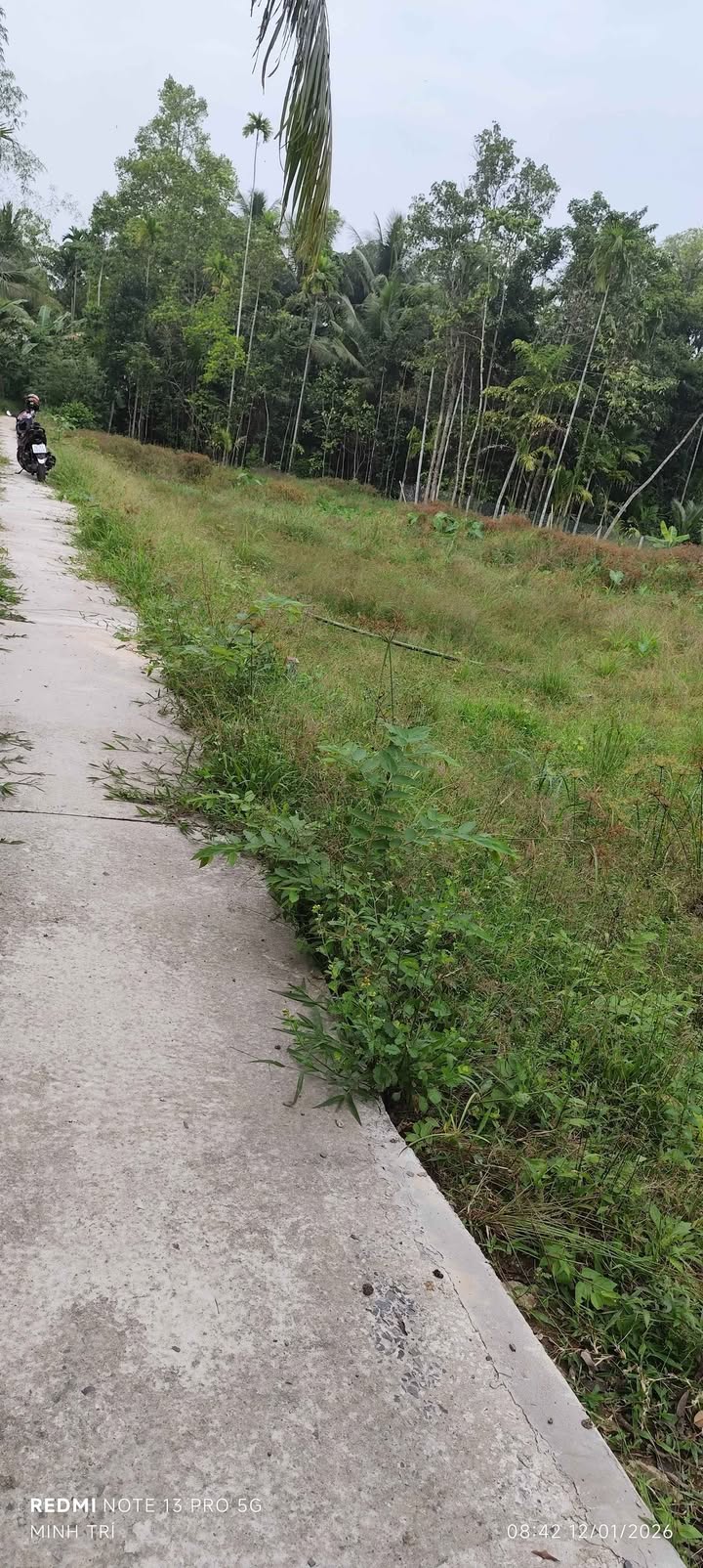 Đất thổ cư 150m² xã Trà Côn - Giá chỉ 159 triệu/nền, thương lượng chính chủ!