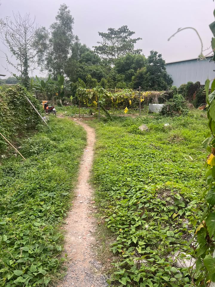 Đất Long Trường Thủ Đức 6m ngang, giá 4 tỷ - Đường lớn, cách Vinhomes Grand Park chỉ 2km!