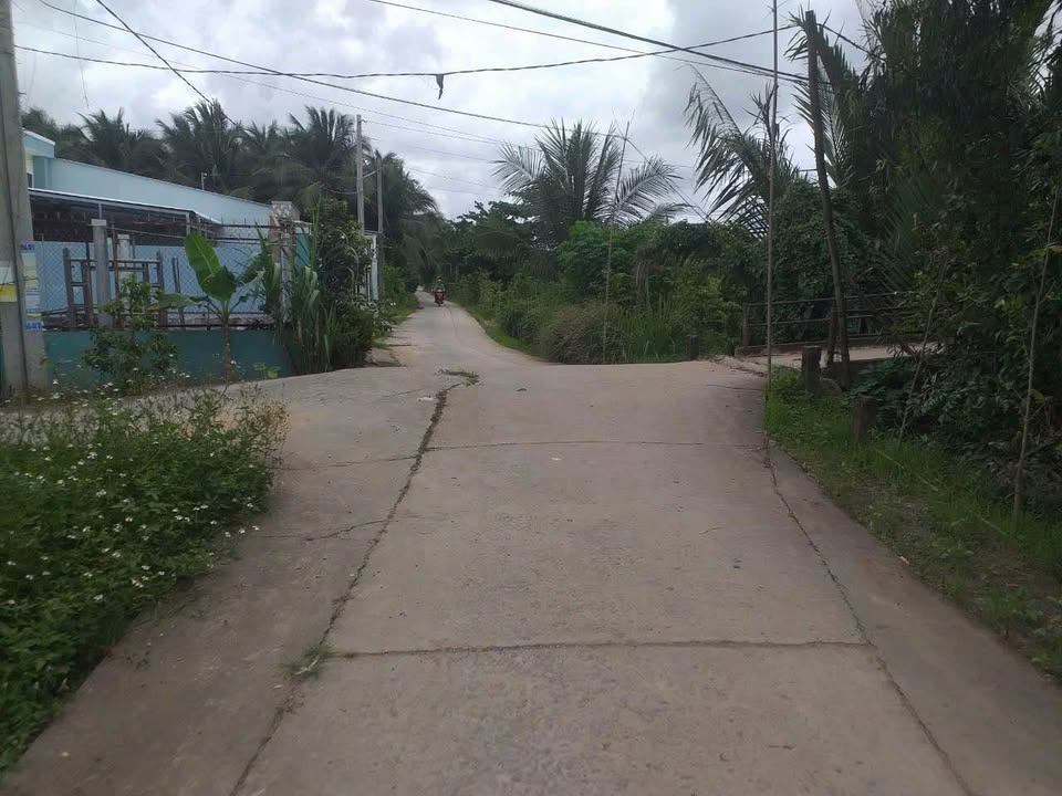 Đất nền 5x20m Phú Hoà, Long Đức chỉ 380 triệu - Đầu tư sinh lời hấp dẫn!