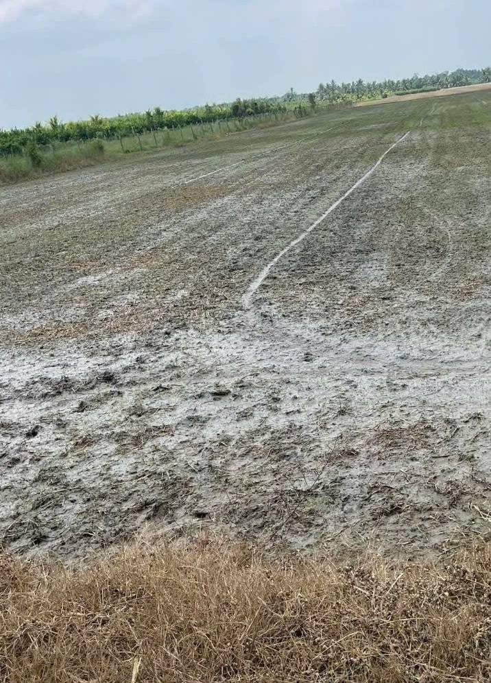 Đất nền Hưng Nhượng A, Càng Long 2145m² giá 160 triệu - Cơ hội đầu tư hấp dẫn!