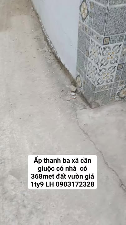 Đất vườn 368m² tại Ấp Thanh Ba, Cần Giuộc - Giá chỉ 1.9 tỷ!