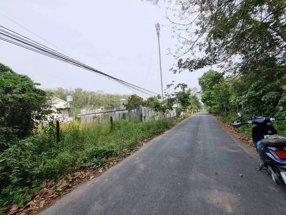 Đất mặt tiền Nguyễn Thị Lộc, Nhuận Đức 115m² giá 1.85 tỷ - Đầu tư sinh lời ngay!