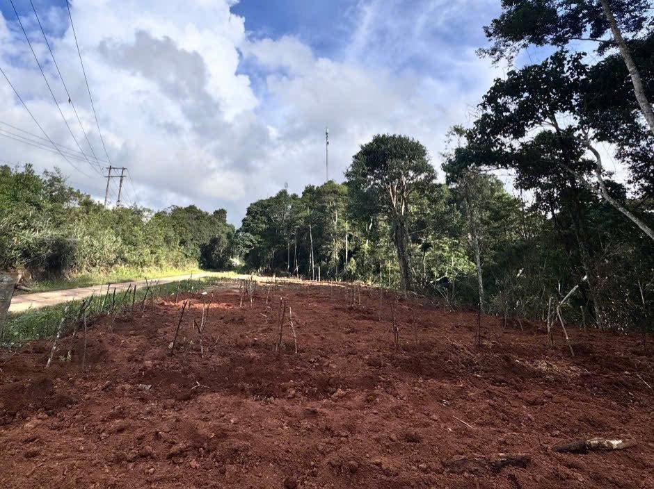 Bán đất thôn Vi Ring, Măng Đen 1200m² - Giá bán hấp dẫn, vị trí đẹp!