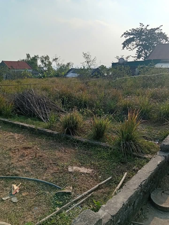 Đất nền biệt thự sân vườn tại Nam Anh, Nghệ An 500m² - Giá chỉ 1.5 tỷ VND!