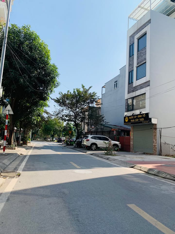 Đất nền phân lô Việt Hưng Long Biên 50m² giá 12 tỷ - Vị trí đắc địa, cơ hội đầu tư hấp dẫn!