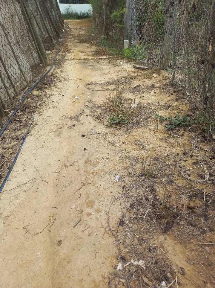 Đất nông nghiệp tại Ninh Thân, Ninh Hòa 2051m² giá 1,25 tỷ - Đầu tư sinh lời ngay!