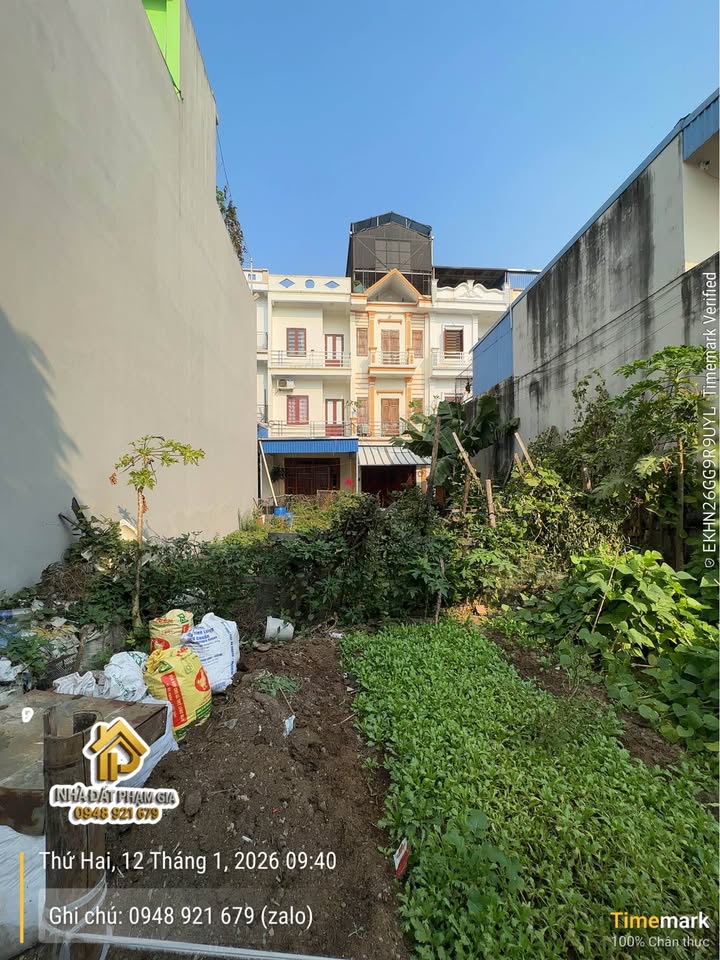 Đất nền phường Mỹ Xá, 60m² giá 1.699 tỷ - Ngõ ô tô đỗ cửa tiện lợi!