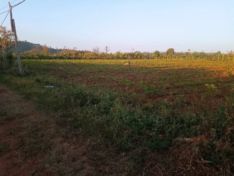 Đất nền 700m² tại Phường Diên Hồng, Pleiku - Giá chỉ 195 triệu - Cơ hội đầu tư tuyệt vời!