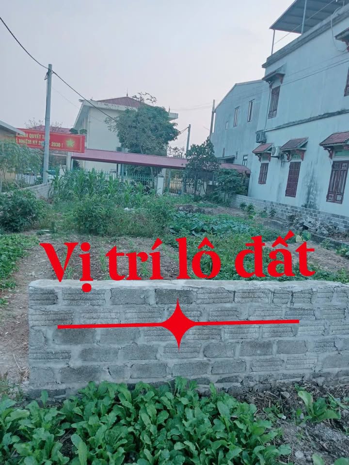 Đất nền Tân Thanh, 160m² giá 3.5 tỷ - Kinh doanh sầm uất ngay trục chính!