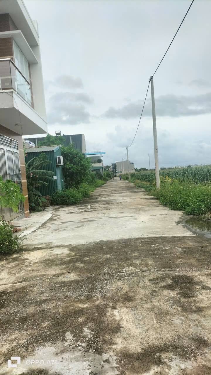 Đất nền Tân Minh, Vũ Thư 113m² giá 1.8 tỷ - Mặt tiền 6m, vị trí đắc địa!