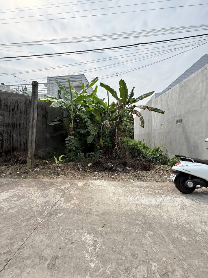 Đất thổ cư 176m² tại Ấp Bình Phong, Mỹ Tho - Giá chỉ 1 tỷ!