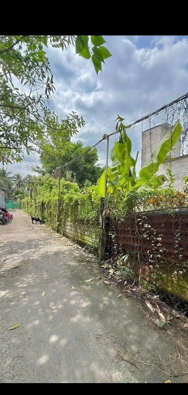 Đất nền Phường 5, Thị xã Cai Lậy, 81m² giá 950 triệu - Cơ hội đầu tư không thể bỏ lỡ!