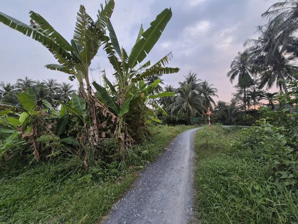 Đất mặt tiền đường Đá Xanh, xã Long Bình, Gò Công Tây, 200m² - Giá chỉ 430 triệu!