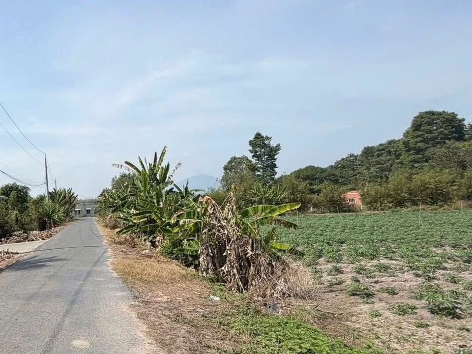 Đất nền khu dân cư Cầu Khởi, Tây Ninh 4800m² giá chỉ từ 3 tỷ - Đầu tư sinh lời ngay!