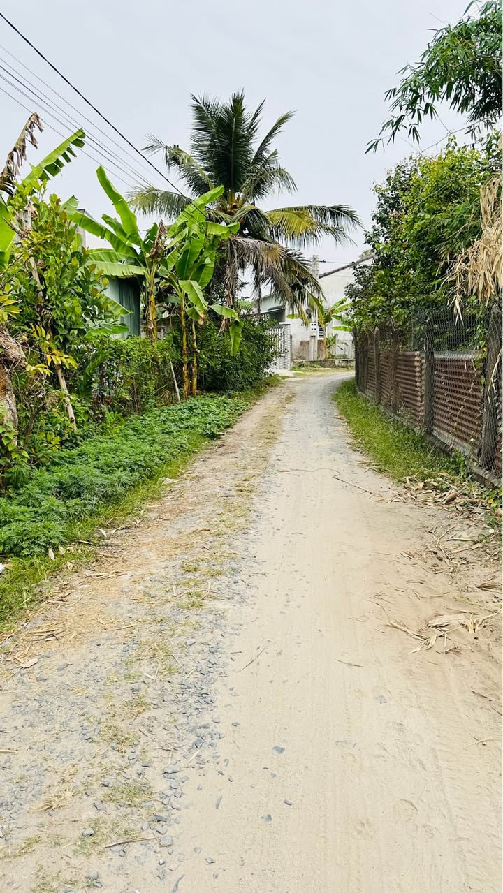 Đất nền KP Thanh Thuận, Thanh Điền 120m² giá chỉ 395 triệu - Cơ hội đầu tư không thể bỏ lỡ!