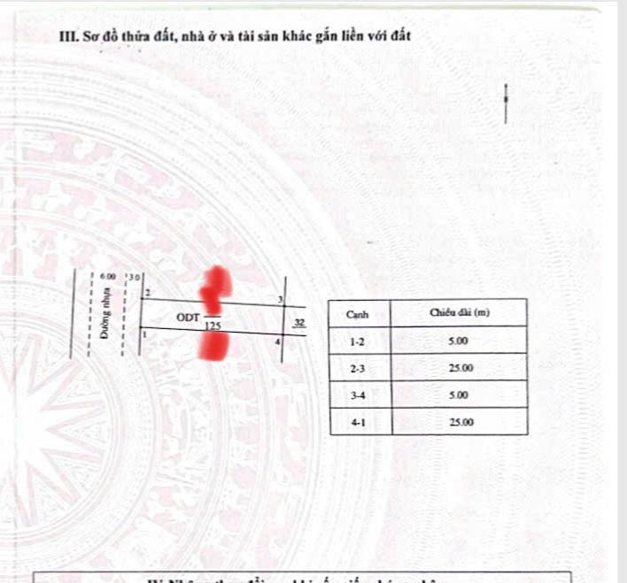 Đất nền KĐT Phú Mỹ 125m² giá 1 tỷ - Sổ hồng chính chủ đẹp